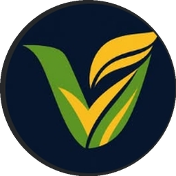 VeriSlí logo